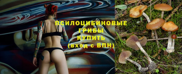 прущие крисы Абаза