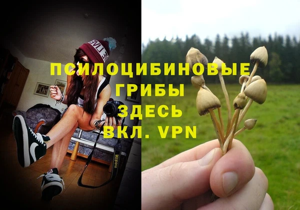 дмт Абдулино